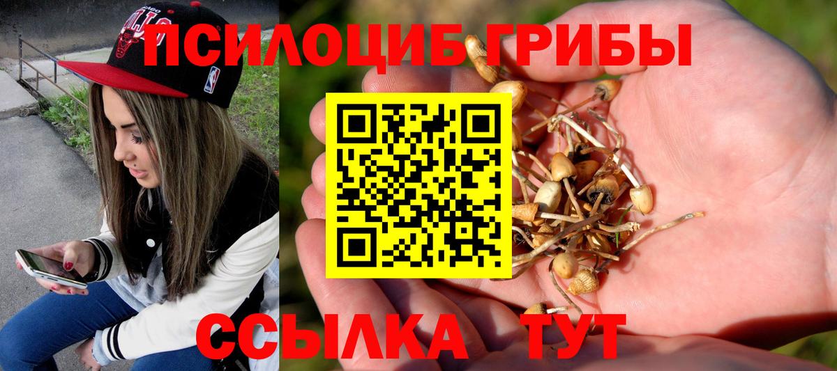 Галлюциногенные грибы GOLDEN TEACHER Белая Калитва