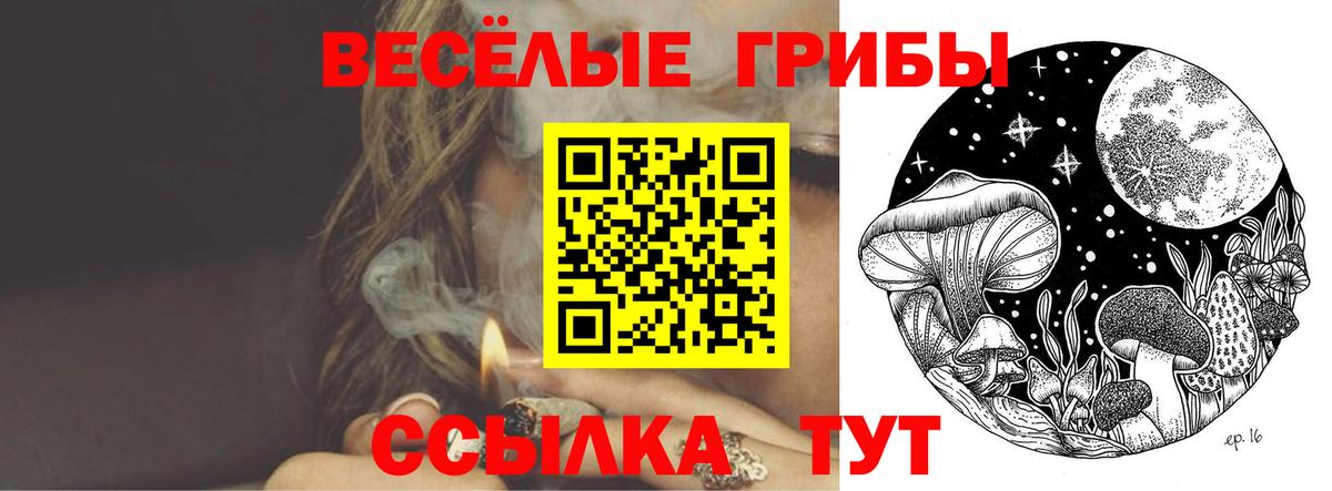 где купить наркоту  Вход с VPN  Белая Калитва  Галлюциногенные грибы Cubensis 